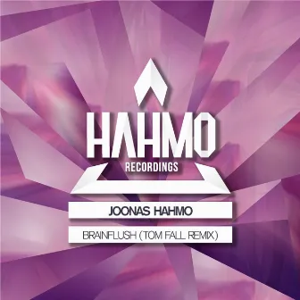 Brainflush (Tom Fall Remix) by Joonas Hahmo