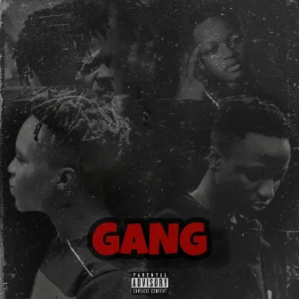 Gang by Osome Feyn