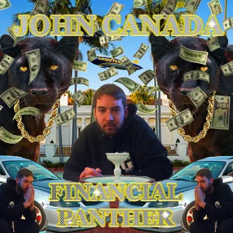 Financial Panther, Vol. 1 by John Canada