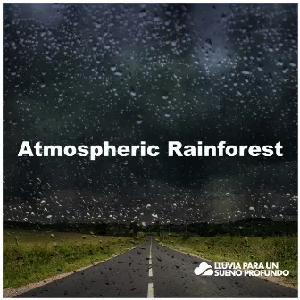 Atmospheric Rainforest by 