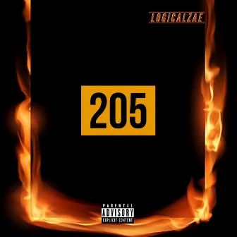 205 by Logicalzae