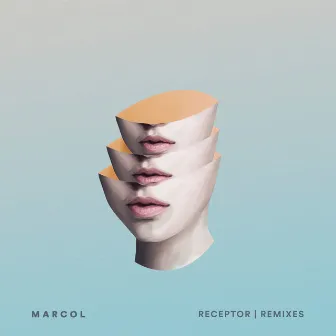 Receptor (Remixes) by Marcol