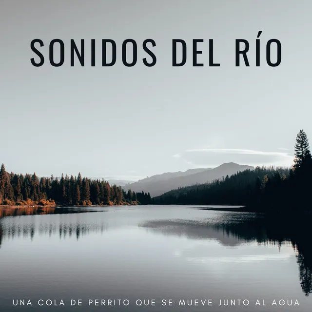 Sonidos relajantes del agua