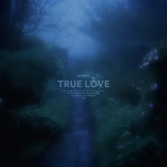 true love by Echoes_