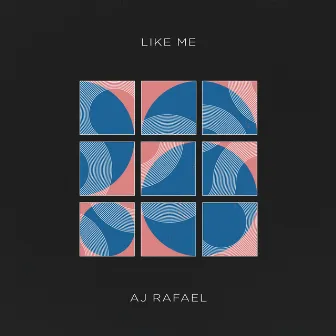 Like Me by AJ Rafael