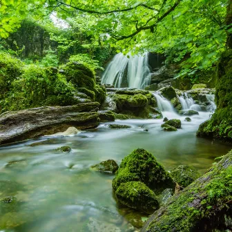 Water's Reflective Ensemble: Melodic Flow by the River by Whispering Streams