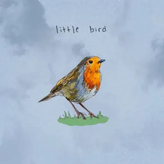 little bird by Arlo