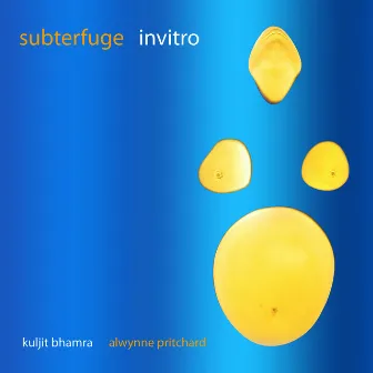 Subterfuge Invitro by Alwynne Pritchard