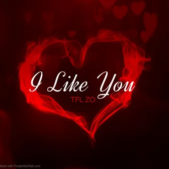 I Like You by TFL ZO