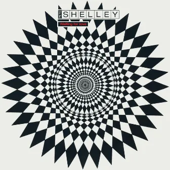 Waiting For Love by Pete Shelley