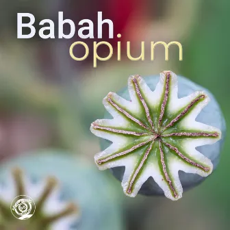 Opium by Babah