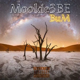 BuM The Mixtape by Mookie3be