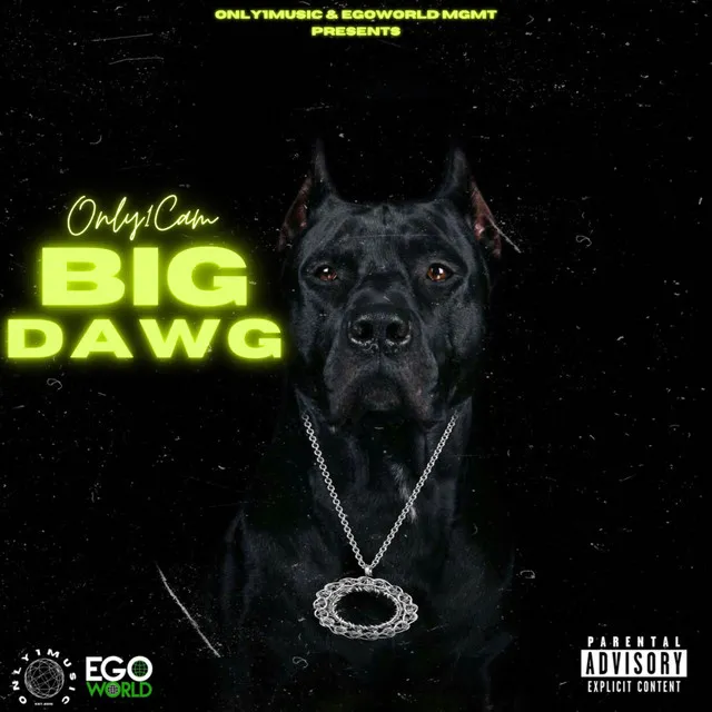 Big Dawg