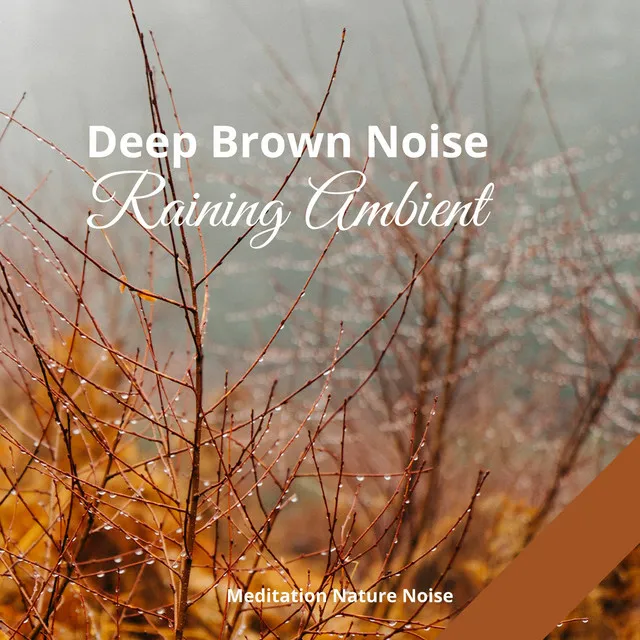 Raining Ambient and Deep Brown Noise with Violin and Cello