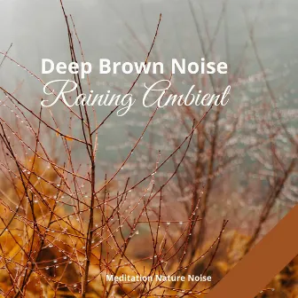 Raining Ambient and Deep Brown Noise with Violin and Cello by Meditation Music