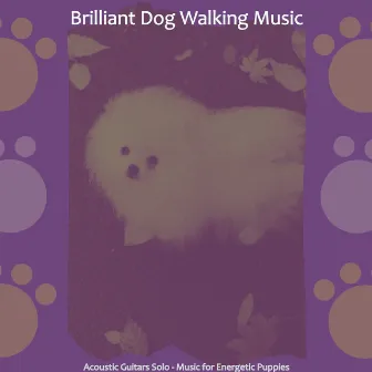 Acoustic Guitars Solo - Music for Energetic Puppies by 