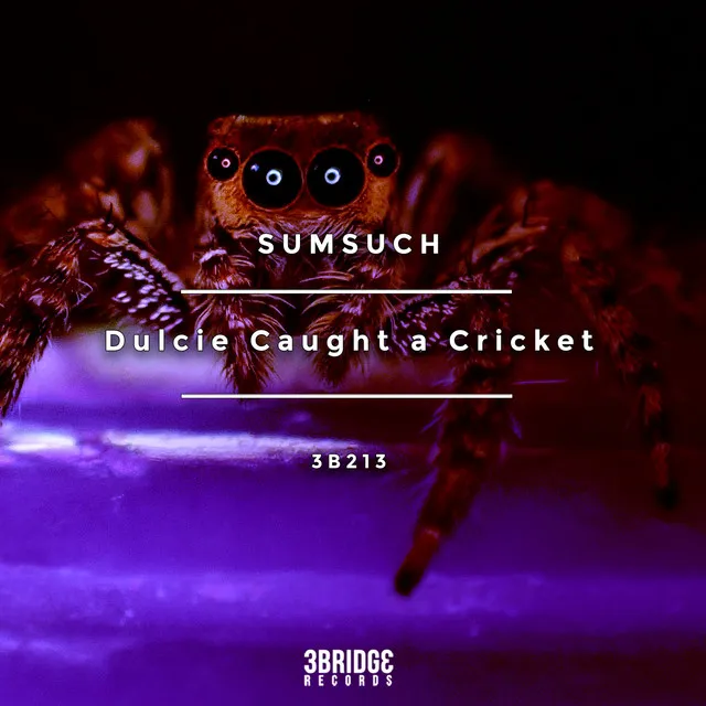 Dulcie Caught a Cricket - Gatto's Spider's on Acid Mix