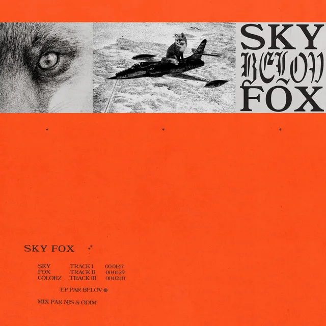 skyfoX