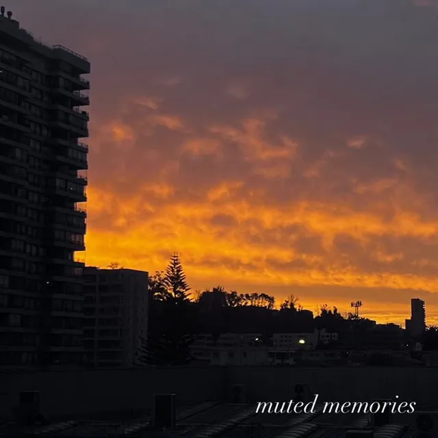 muted memories