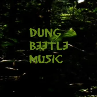 What Have We Done by Dung Beetle Music