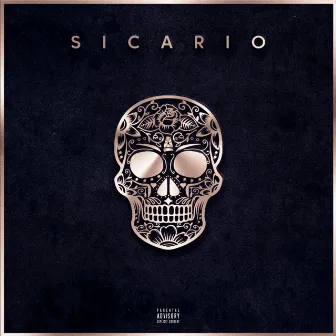 Sicario by Sleiman