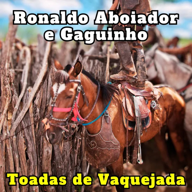 Toadas de Vaquejada