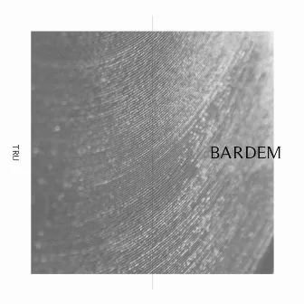 Bardem by Tru