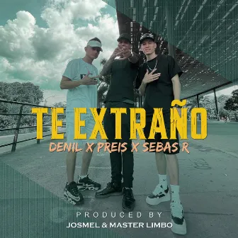 Te Extraño by Preis