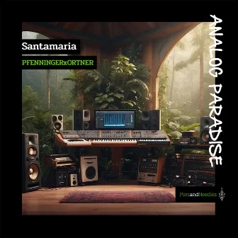 Analog Paradise by Santamaria