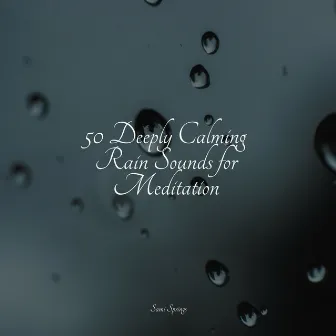 50 Deeply Calming Rain Sounds for Meditation by Natural Rain Sounds for Sleeping