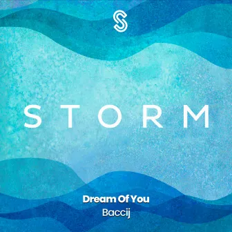 Dream Of You by Baccij