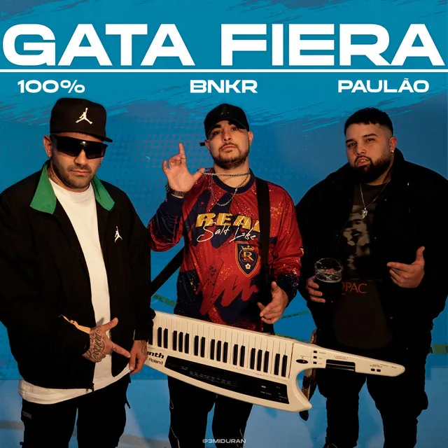 Gata Fiera - Remix