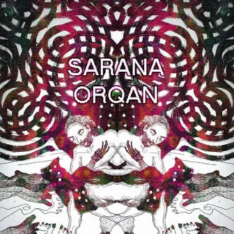 Sarana / Orqan by orqan