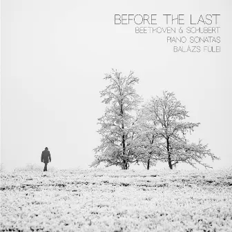 Before the Last by Unknown Artist