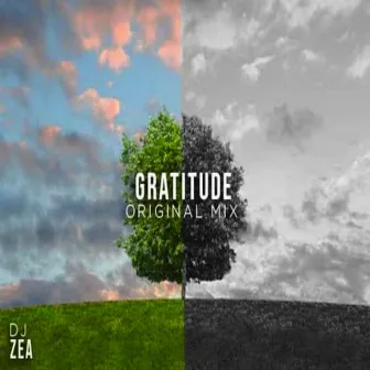 Gratitude by DJ Zea