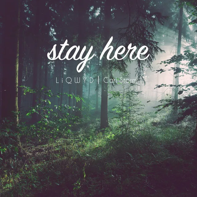 Stay Here