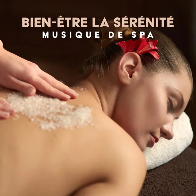 Bien-être la sérénité: Musique de spa, Sons de la nature de l'harmonie, Relaxation profonde