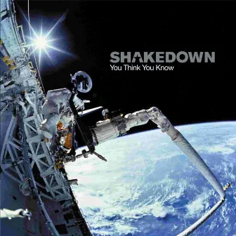 You Think You Know by Shakedown