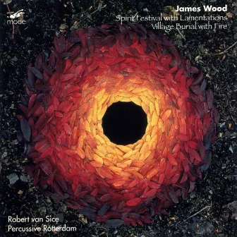 James Wood: Sprint Festival with Lamentations & Village Burial with Fire by Robert van Sice