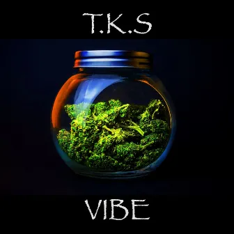 VIBE by T.K.S