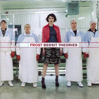 Bedsit Theories by Frost