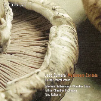 Sumera: Mushroom Cantata / Concerto Per Voci E Strumenti / Island Maiden's Song From the Sea by Lepo Sumera