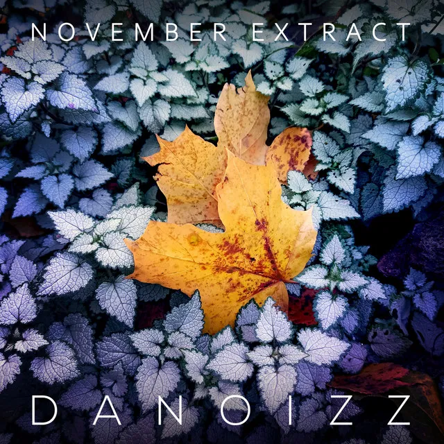 November Extract