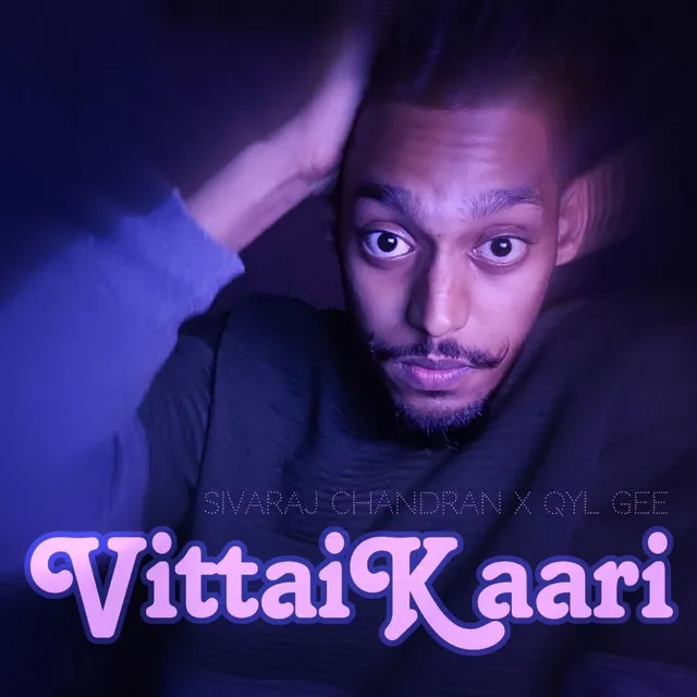 Vittaikaari