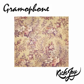 Gramophone by Datolite