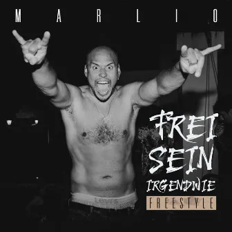 Freisein Irgendwie Freestyle by Marlio