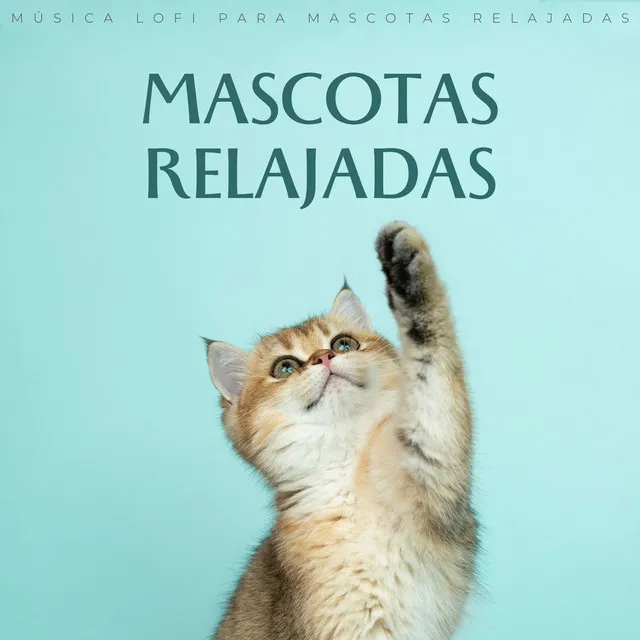 Mascotas Relajadas: Música Lofi Para Mascotas Relajadas