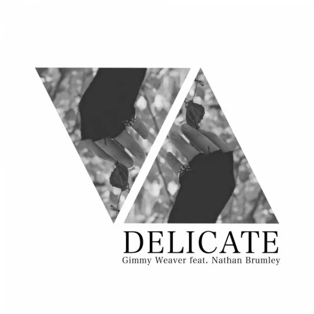 Delicate - Radio Edit