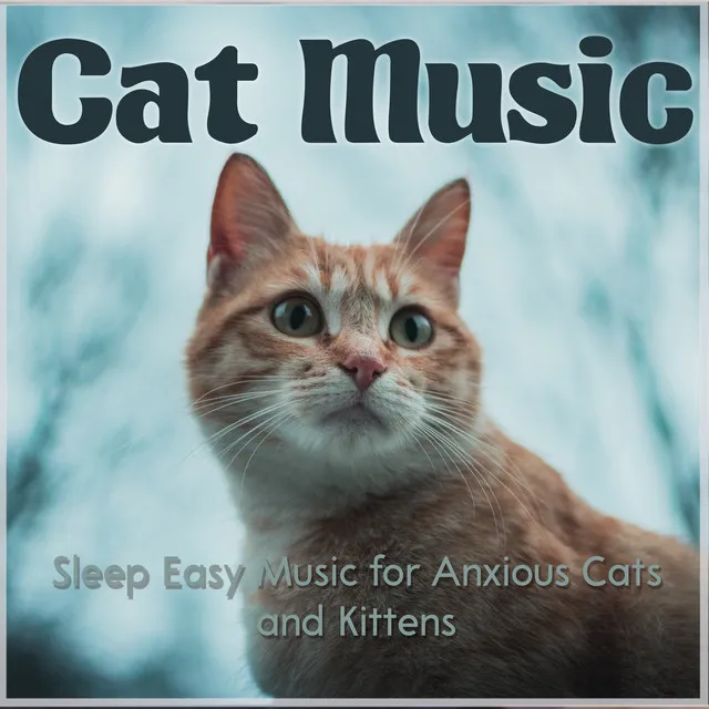 Cat Music: Sleep Easy Music for Anxious Cats and Kittens