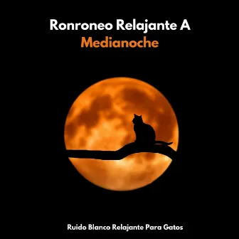 Ronroneo Relajante A Medianoche: Ruido Blanco Relajante Para Gatos by Sonido Blanco